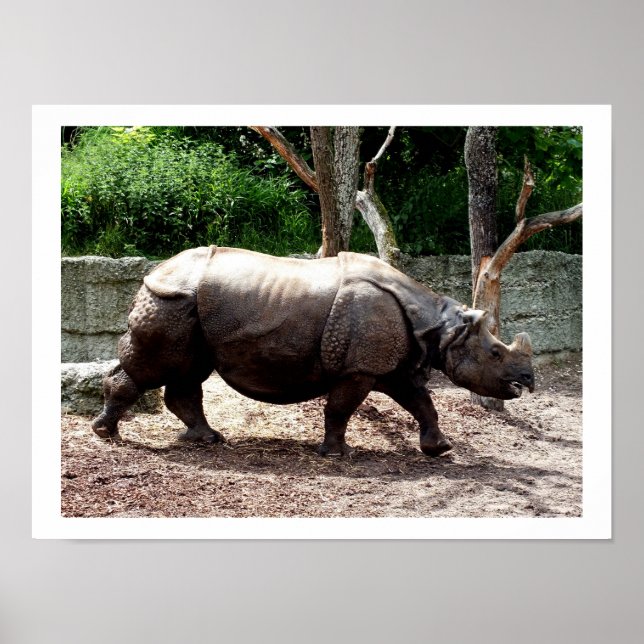 Indian rhino poster (Front)