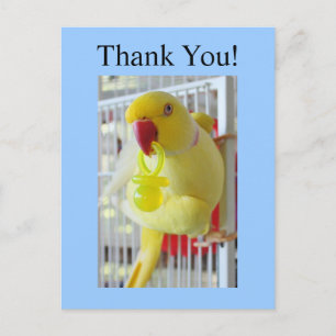 Indian Ringneck Thank You Baby Shower Postcard