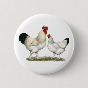 Indian River Chickens 6 Cm Round Badge