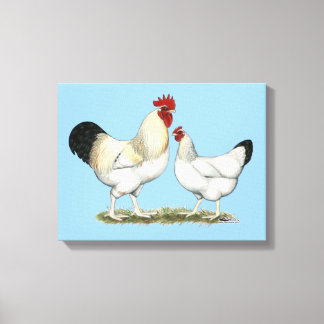Indian River Chickens Canvas Print