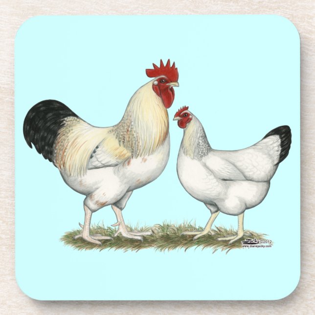 Indian River Chickens Coaster (Front)