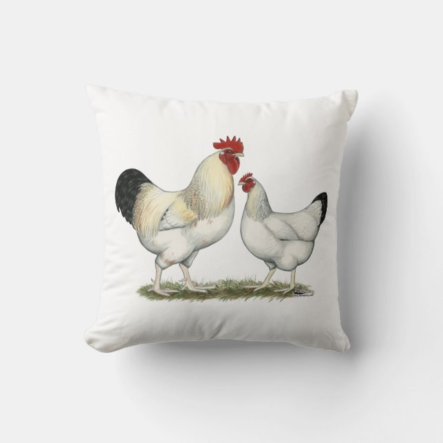 Indian River Chickens Cushion (Front)