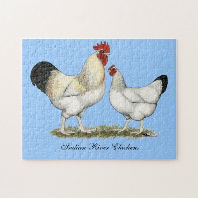 Indian River Chickens Jigsaw Puzzle (Horizontal)