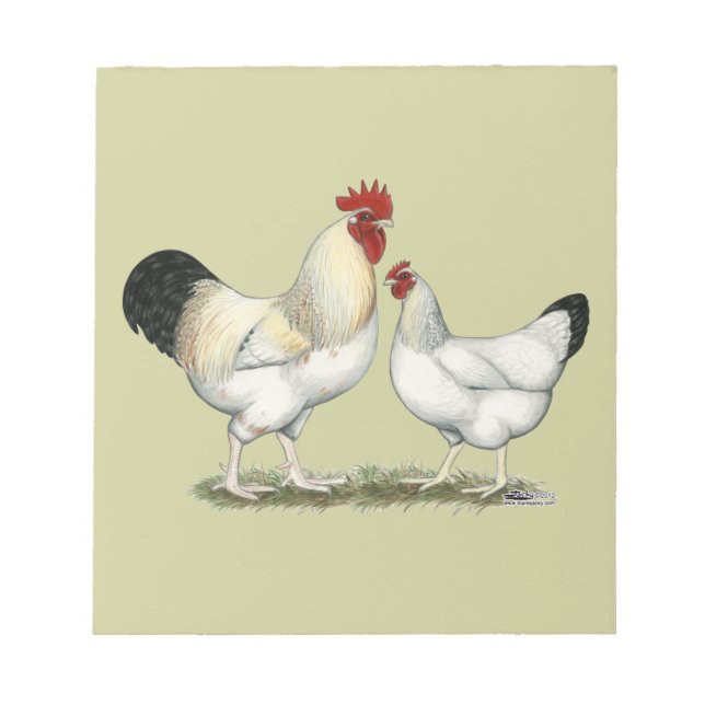 Indian River Chickens Notepad (Front)