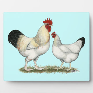 Indian River Chickens Plaque