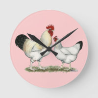 Indian River Chickens