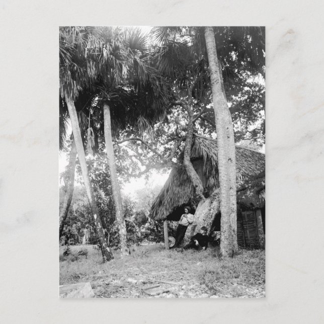 Indian River, Florida Getaway: 1890s Postcard (Front)