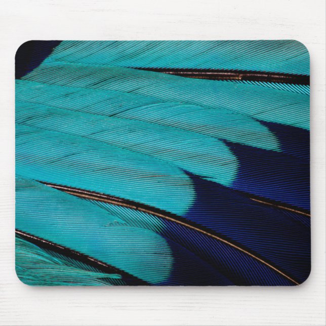 Indian Roller Feather Abstract Mouse Pad (Front)