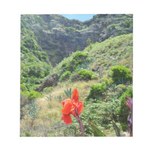 Indian Shot (Canna indica purpurea) Notepad