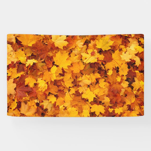 Indian Summer Golden Leaves Banner (Horizontal)