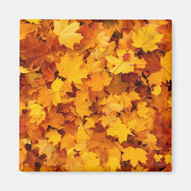 Indian Summer Golden Leaves Magnet (Front)