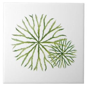 Indian Summer on a Ceramic Tile (W)