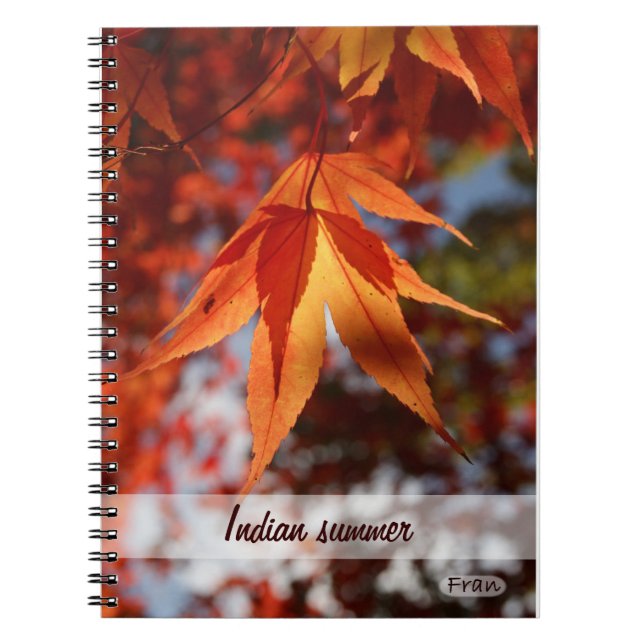Indian summer spiral notebook (Front)