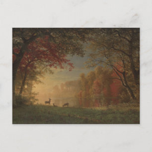 Indian Sunset Deer by a Lake Postcard