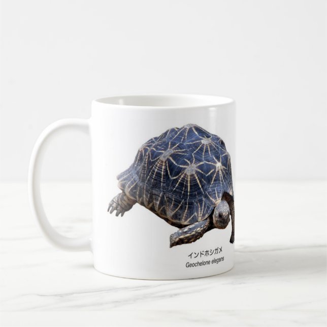Indian tortoise coffee mug (Left)