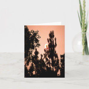 Indian Valley fire..... Card