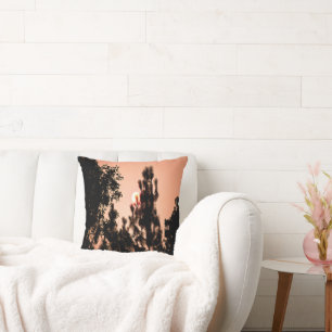Indian Valley fire..... Cushion