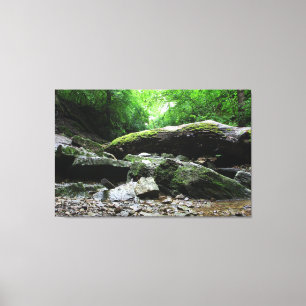Indian Village Canyon, Columbus, Ohio Canvas Print