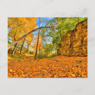 Indian Village Canyon in Autumn, Columbus, Ohio Postcard