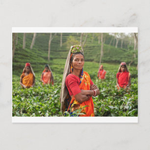 Indian Womens Postcard