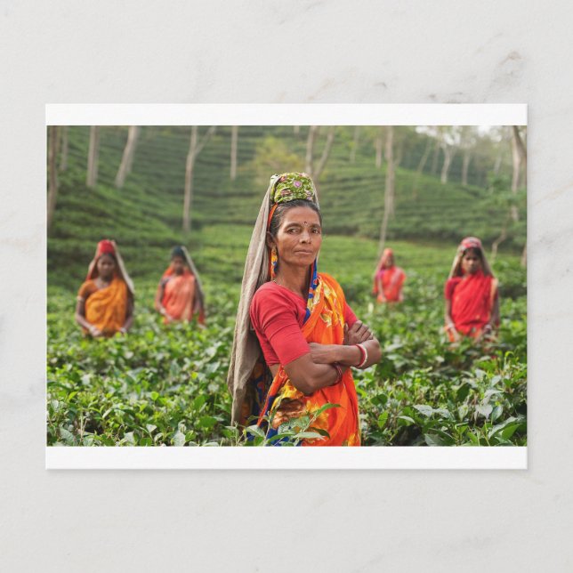 Indian Womens Postcard (Front)