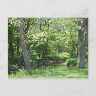 Indiana Billboards Postcard