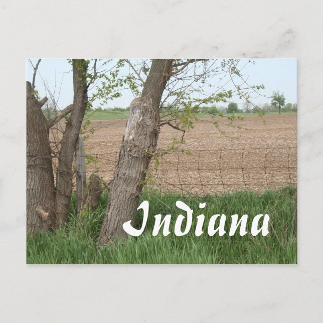 Indiana Countryside Postcard (Front)