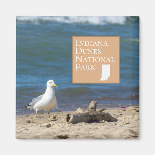 Indiana Dunes National Park Gift Magnet