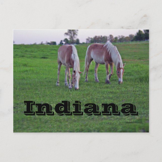 Indiana Postcard (Front)