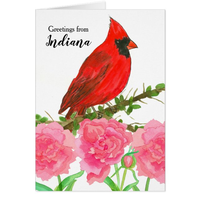 Indiana Red Cardinal Watercolor Bird Pen Pal (Front)