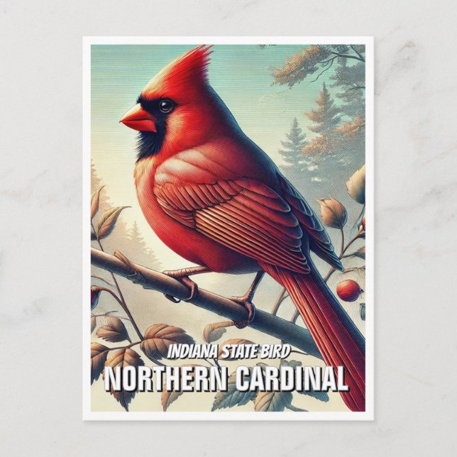 Indiana State Bird Northern Cardinal Postcard (Front)
