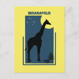 Indianapolis Zoo Indiana Vintage Giraffe Postcard