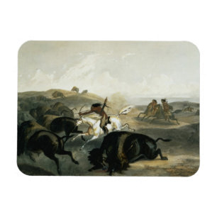Indians Hunting the Bison, plate 31 from Volume 2 Magnet