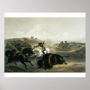 Indians Hunting the Bison, plate 31 from Volume 2 Poster