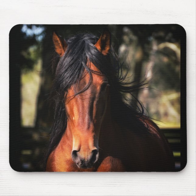 Indico VII Head Shot Mouse Pad (Front)