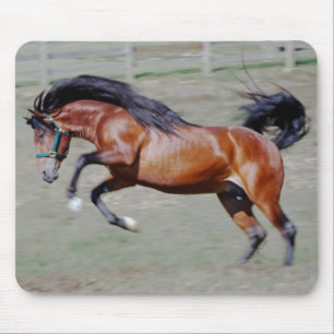 Indico VII Reaching Out Mouse Pad