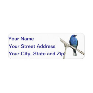 Indigo Bunting