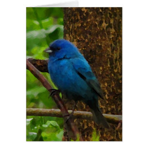 Indigo Bunting Blank Card