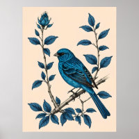 Indigo Bunting Bliss - A Song of Colours