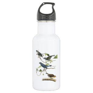 Indigo Bunting by Audubon 532 Ml Water Bottle