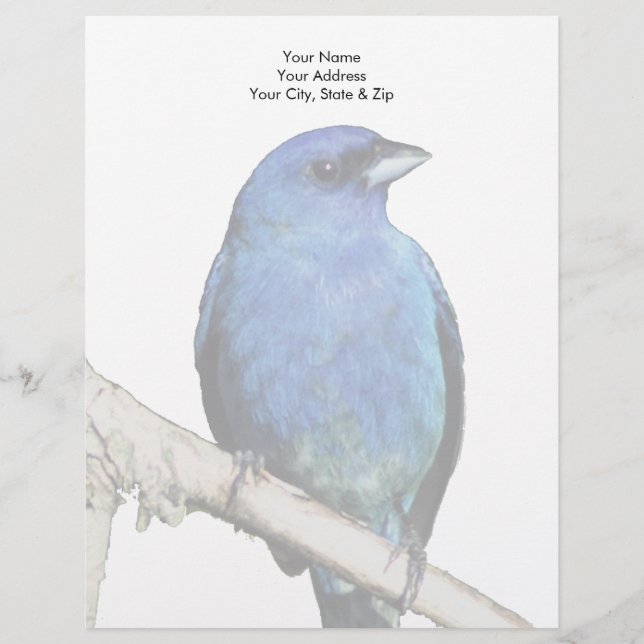 Indigo Bunting Custom Letterhead (Front)