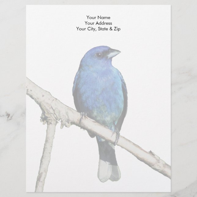 Indigo Bunting Custom Letterhead (Front)