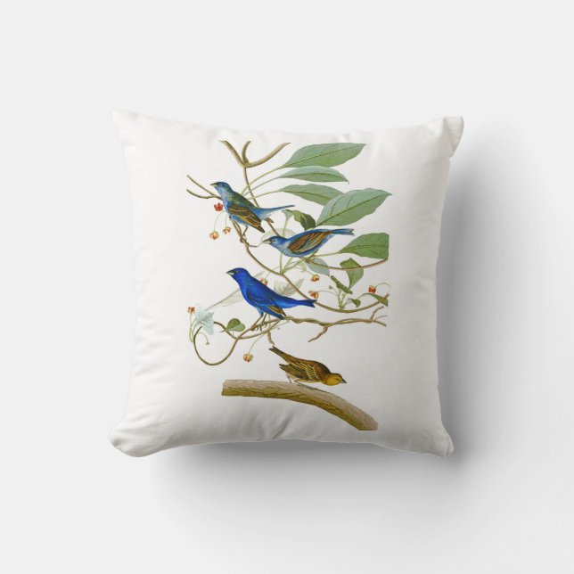 Indigo Bunting John James Audubon Birds of America Cushion (Front)