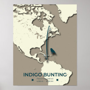 Indigo Bunting Migration Map – Minimalist Vintage Poster