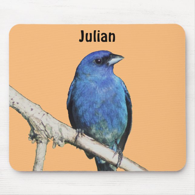 Indigo Bunting Mouse Pad (Front)