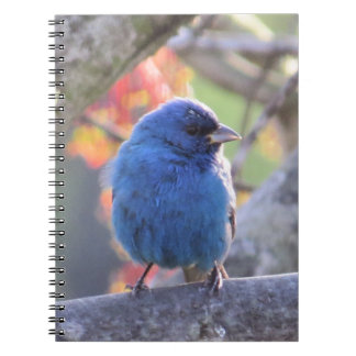 Indigo Bunting Notebook