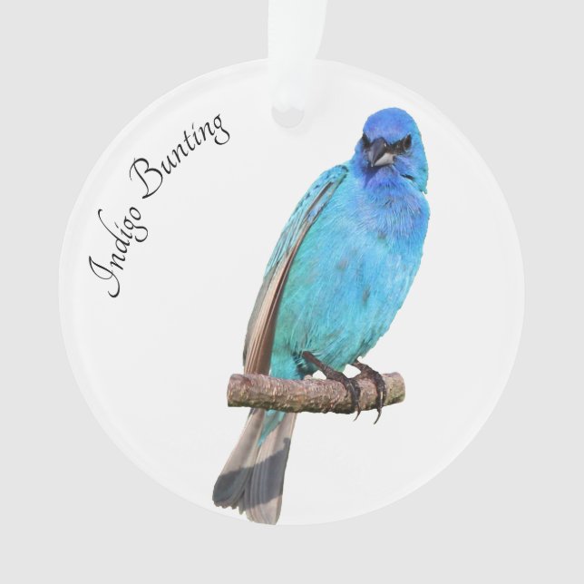Indigo Bunting Ornament (Front)