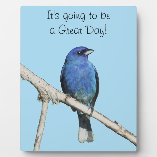 Indigo Bunting Plaque (Front)