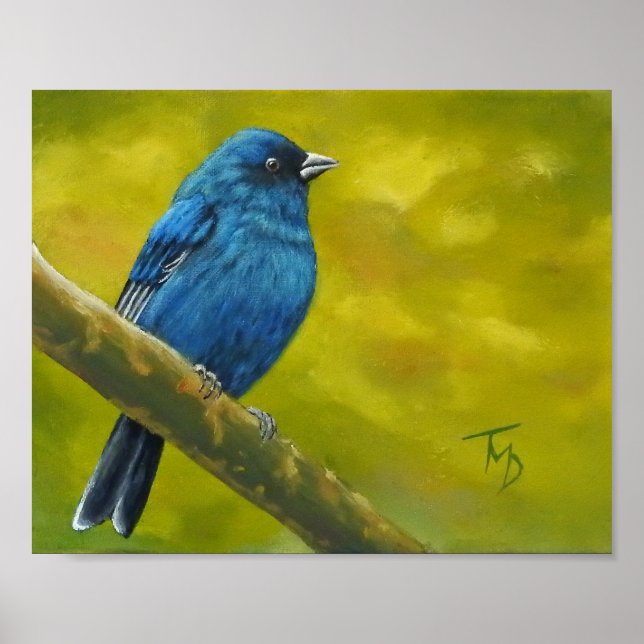 Indigo Bunting - Poster (Front)