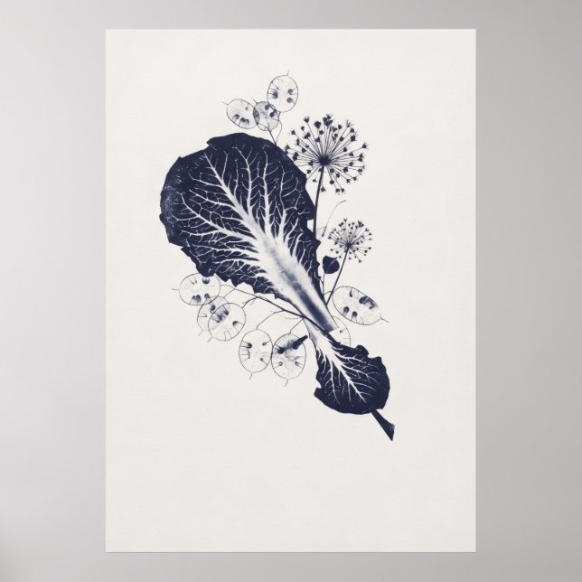 Indigo Leaf Lunaria Allium Botanical Study Poster (Front)
